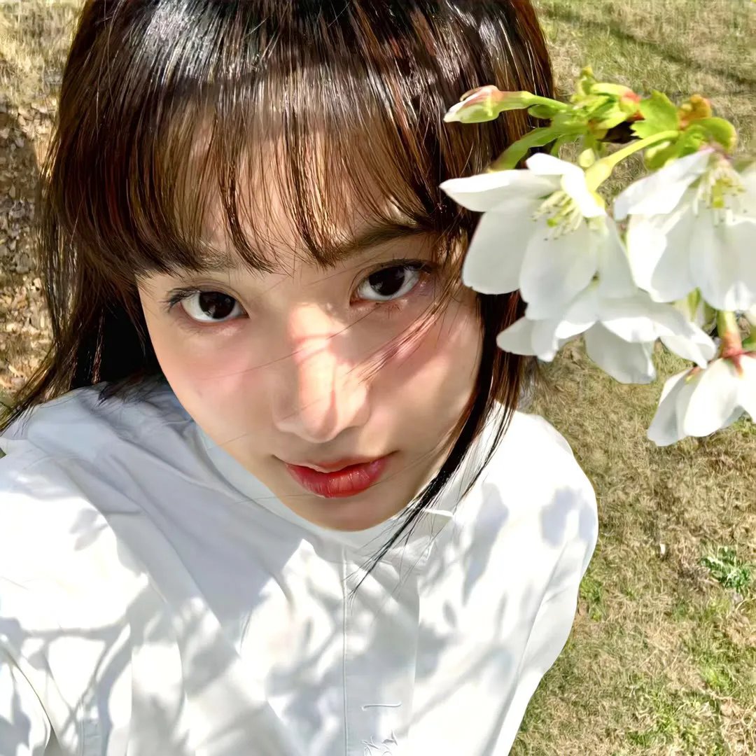 藩篱